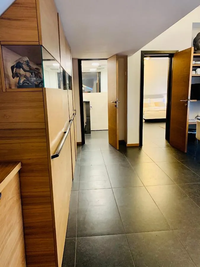Parliament Penthouse Apartment Budapest